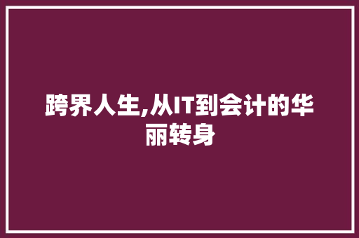 跨界人生,从IT到会计的华丽转身