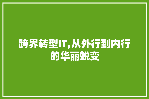 跨界转型IT,从外行到内行的华丽蜕变