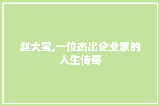 赵大宝,一位杰出企业家的人生传奇