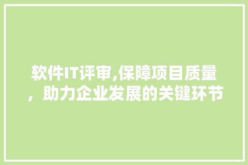 软件IT评审,保障项目质量，助力企业发展的关键环节