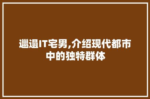 邋遢IT宅男,介绍现代都市中的独特群体