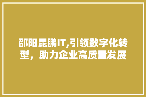 邵阳昆鹏IT,引领数字化转型，助力企业高质量发展 Vue.js