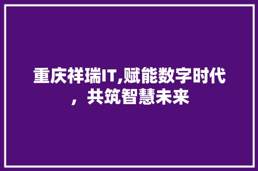 重庆祥瑞IT,赋能数字时代，共筑智慧未来