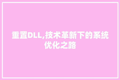 重置DLL,技术革新下的系统优化之路