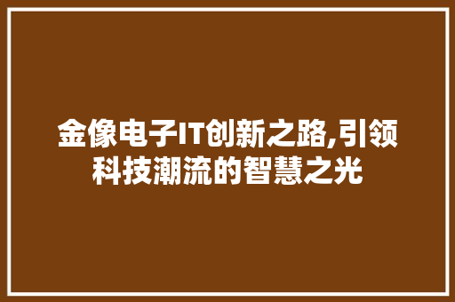 金像电子IT创新之路,引领科技潮流的智慧之光