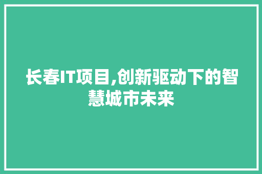 长春IT项目,创新驱动下的智慧城市未来