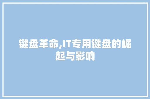 键盘革命,IT专用键盘的崛起与影响