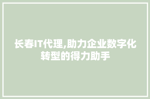 长春IT代理,助力企业数字化转型的得力助手