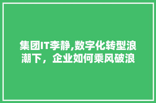 集团IT李静,数字化转型浪潮下，企业如何乘风破浪