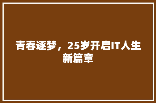 青春逐梦，25岁开启IT人生新篇章