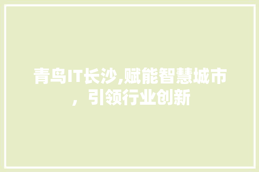 青鸟IT长沙,赋能智慧城市，引领行业创新