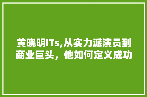 黄晓明ITs,从实力派演员到商业巨头，他如何定义成功 RESTful API