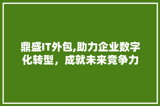 鼎盛IT外包,助力企业数字化转型，成就未来竞争力