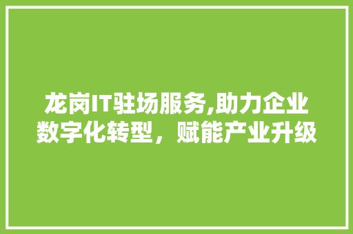 龙岗IT驻场服务,助力企业数字化转型，赋能产业升级 Python