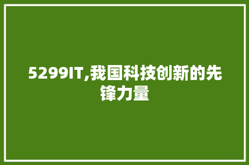 5299IT,我国科技创新的先锋力量