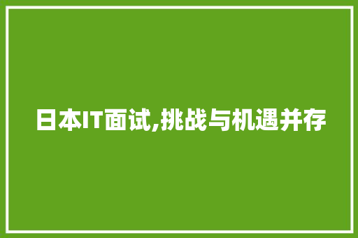 日本IT面试,挑战与机遇并存