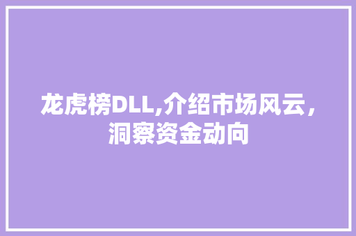 龙虎榜DLL,介绍市场风云，洞察资金动向 PHP