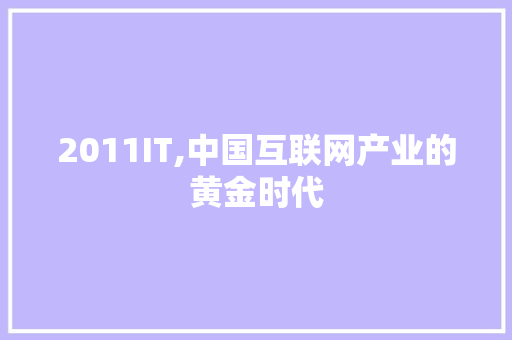 2011IT,中国互联网产业的黄金时代