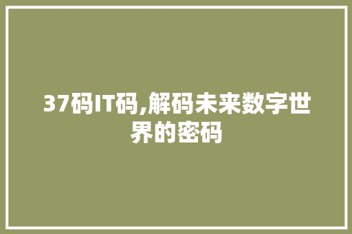 37码IT码,解码未来数字世界的密码