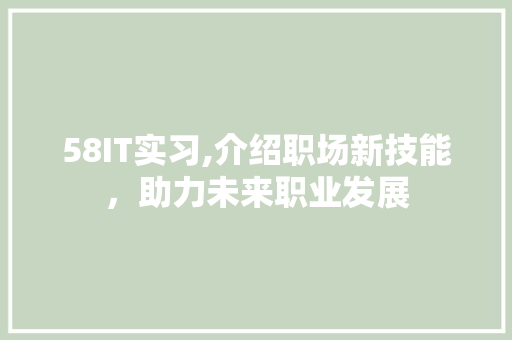 58IT实习,介绍职场新技能，助力未来职业发展