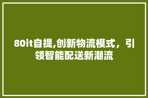 80it自提,创新物流模式，引领智能配送新潮流