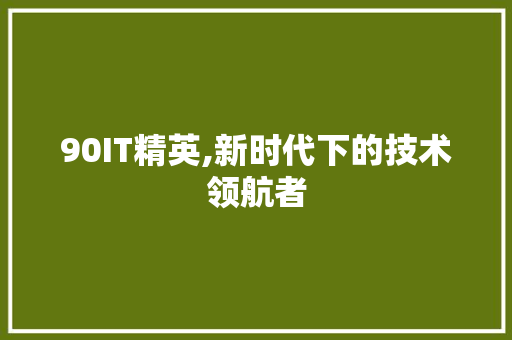 90IT精英,新时代下的技术领航者