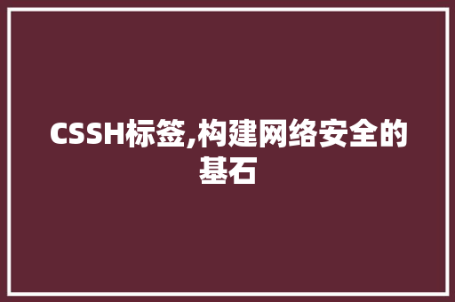 CSSH标签,构建网络安全的基石