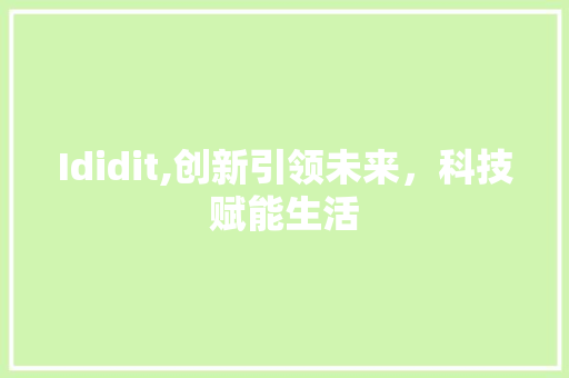 Ididit,创新引领未来，科技赋能生活