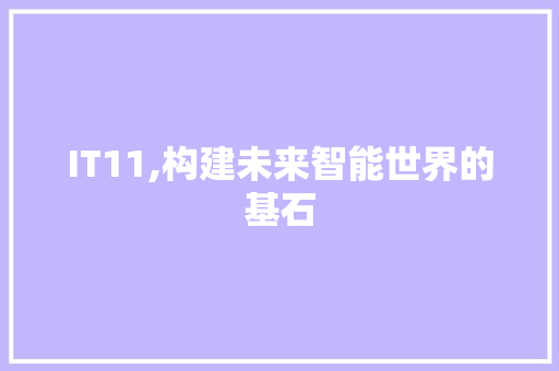 IT11,构建未来智能世界的基石