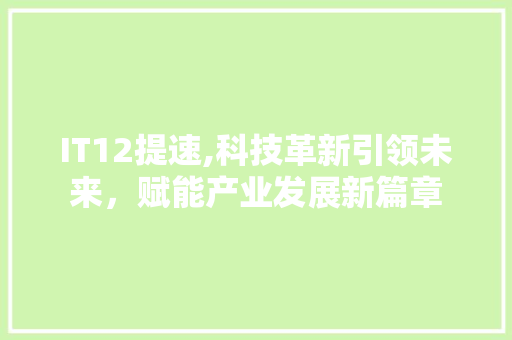 IT12提速,科技革新引领未来，赋能产业发展新篇章