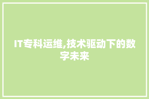 IT专科运维,技术驱动下的数字未来