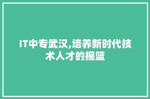 IT中专武汉,培养新时代技术人才的摇篮