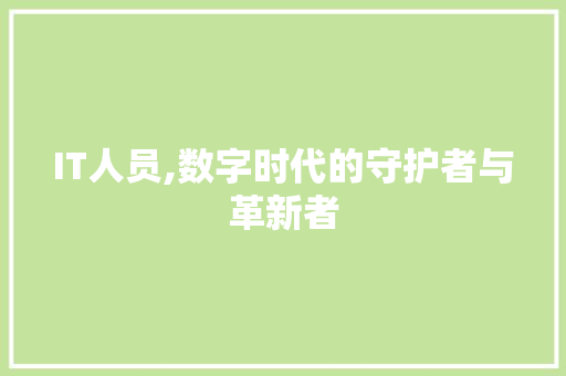 IT人员,数字时代的守护者与革新者