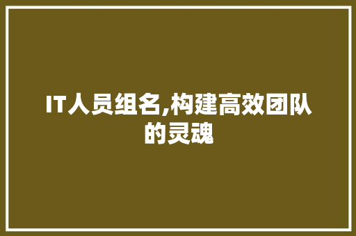 IT人员组名,构建高效团队的灵魂