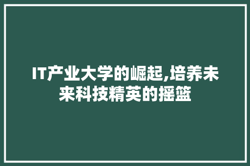 IT产业大学的崛起,培养未来科技精英的摇篮