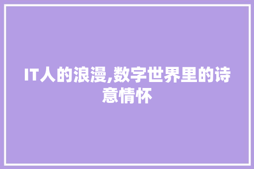 IT人的浪漫,数字世界里的诗意情怀