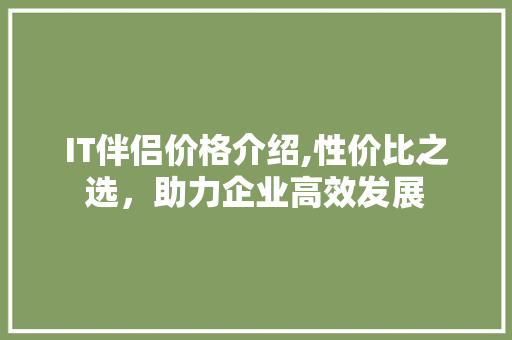 IT伴侣价格介绍,性价比之选，助力企业高效发展