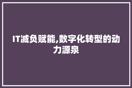 IT减负赋能,数字化转型的动力源泉