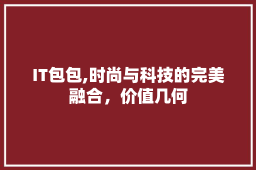 IT包包,时尚与科技的完美融合，价值几何