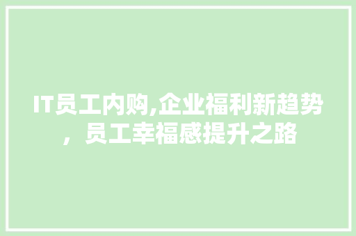 IT员工内购,企业福利新趋势，员工幸福感提升之路