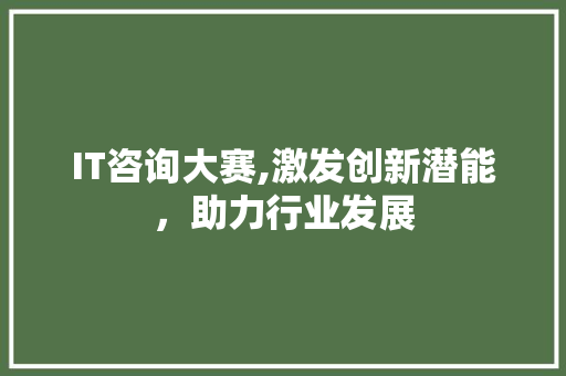 IT咨询大赛,激发创新潜能，助力行业发展