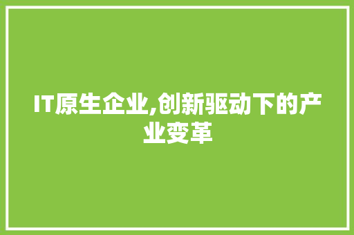 IT原生企业,创新驱动下的产业变革