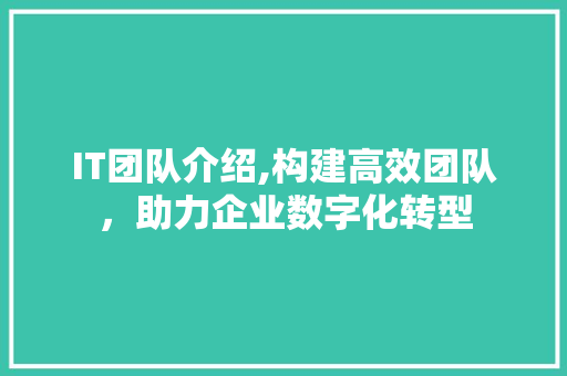 IT团队介绍,构建高效团队，助力企业数字化转型