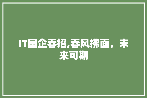 IT国企春招,春风拂面，未来可期