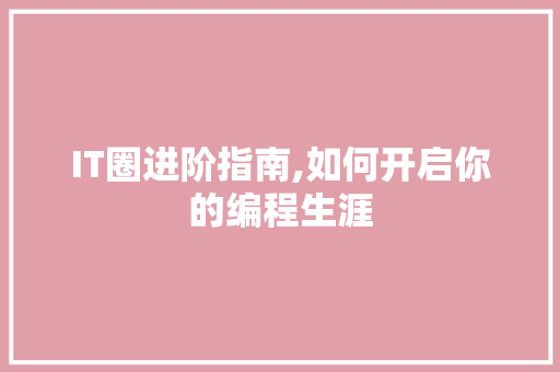 IT圈进阶指南,如何开启你的编程生涯