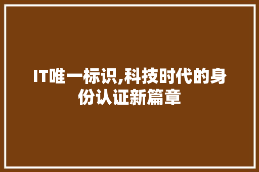 IT唯一标识,科技时代的身份认证新篇章