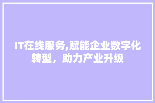 IT在线服务,赋能企业数字化转型，助力产业升级