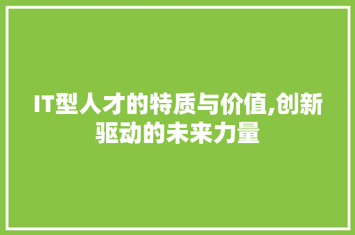 IT型人才的特质与价值,创新驱动的未来力量