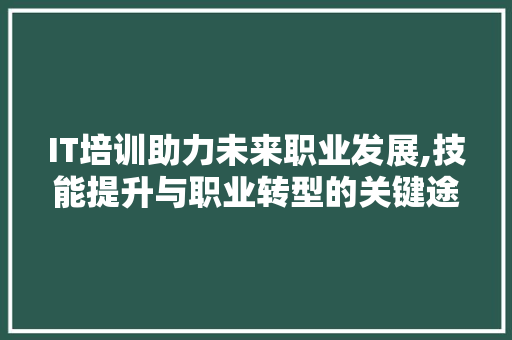 IT培训助力未来职业发展,技能提升与职业转型的关键途径