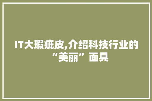 IT大瑕疵皮,介绍科技行业的“美丽”面具